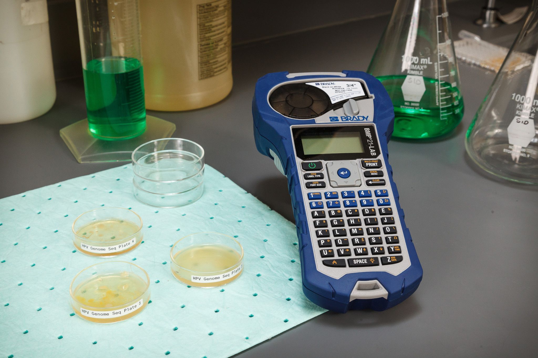 BMP21 Lab von Brady Kennzeichnung von Petrischalen im Labor